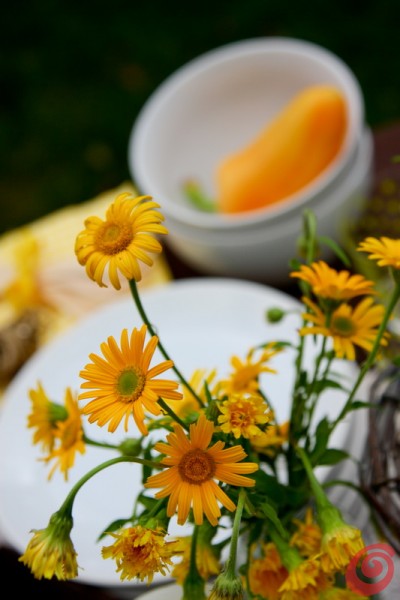 Fiori gialli per decorare la tavola apparecchiata per la nostra festa estiva senza la carne alla griglia Fiori gialli per decorare la tavola apparecchiata per la nostra festa estiva senza la carne alla griglia