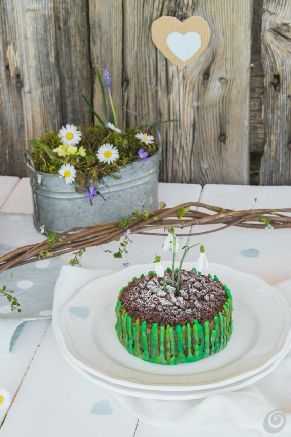 torte_decorate_torta_primavera_bucaneve