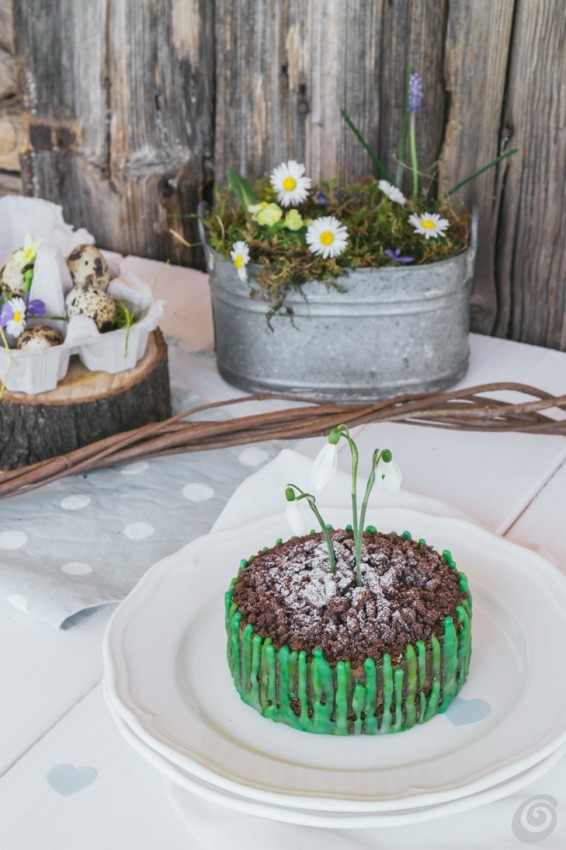 torte_decorate_torta_primavera_bucaneve