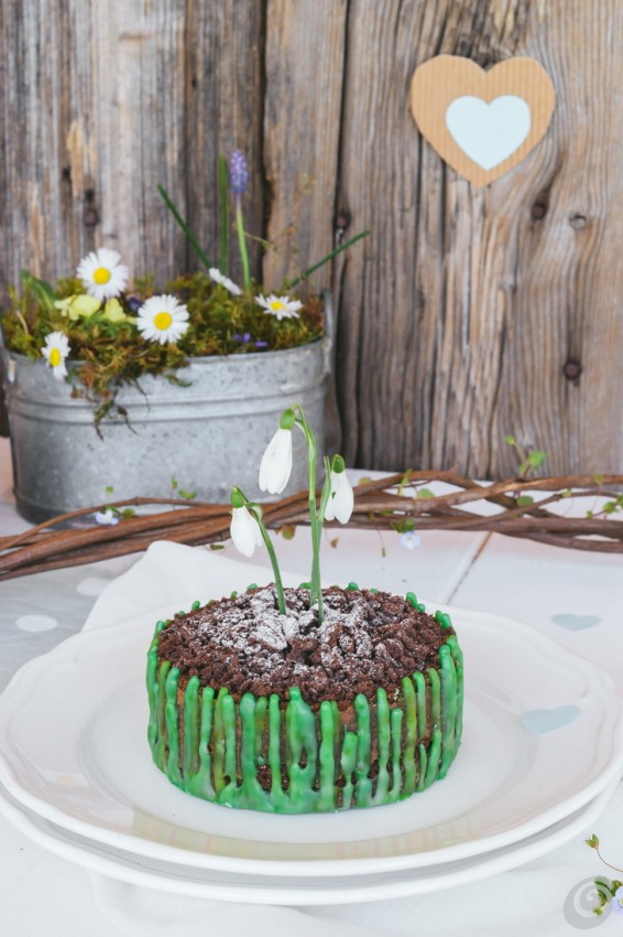 torte_decorate_torta_primavera_bucaneve